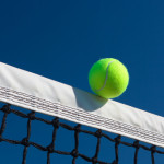 net tennis
