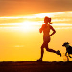 Consigli per correre con il proprio cane