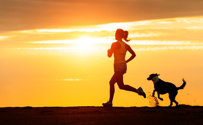 Consigli per correre con il proprio cane